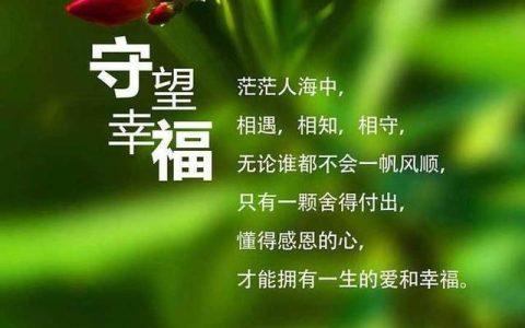 鳏寡孤独，鳏寡孤独分别什么意思。